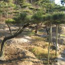 지리산농장 이미지