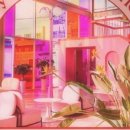 비비하우스 이미지