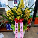 세신약국 이미지