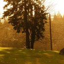 세탁세상 이미지