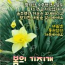 도곡사거리 이미지