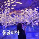 울산종합철만물 | 여름철 최고의 피서지, 울산 태화강 동굴피아 방문기