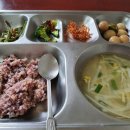 구내식당 Daum카페