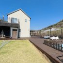 포독스1 이미지