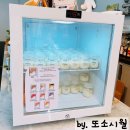 합정역 카페 | &lt;컨큐어&gt; 부드러운 우유푸딩과 다양한 종류의 밀크티 후기🐈