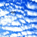 파도소리 이미지