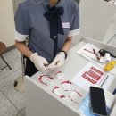 내 친구 송아지 이미지