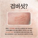제이에이치고은미의원 이미지
