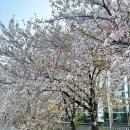 도림천 공중화장실 이미지