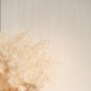 베이지 꽃 이미지