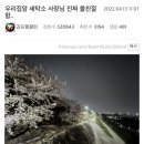 우리세탁소 이미지