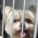 보라매동-27 이미지