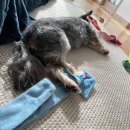 황자반놀이터 이미지