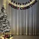 트리트멍멍 이미지