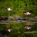 월교농장 이미지