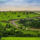 더원농장 이미지