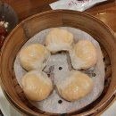 아리차이 이미지