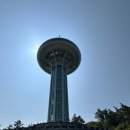 2024 완도 당일치기 여행 코스 추천