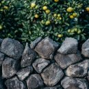 펜션YOON 이미지