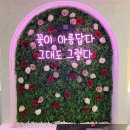 #뒷고기회관 이미지