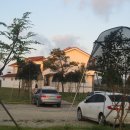 신안자연휴양림 이미지