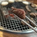 최애갈비