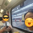 THE뽑기 | [스위스] 9박10일 뽕뽑기_ 1일차 상세 일정 공유(루체른 도착/The Lubo호텔/카펠교/Restaurant Schiff)