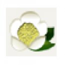 보성남초등학교 이미지