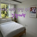 소랑애월 | 애월 감성 숙소 소랑애월: 제주도 효도여행 숙소후기