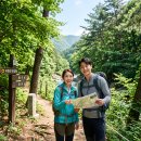 보름달작은도서관 | 여름 휴가로 다녀온 유명산 자연휴양림 계곡 피서 후기! 주차장 명당과 야간 은하수 명소 추천