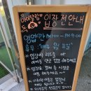 마이달링독 이미지