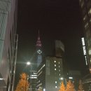 토마토세탁소 이미지