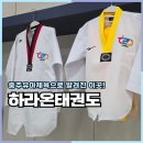 THE해온태권도 | 충주유아체육 하라온태권도 여자아이 운동 후기