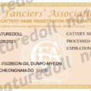 자연돌스(naturedoll) 이미지