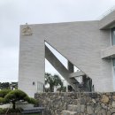 비에노즈 이미지