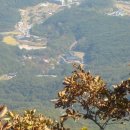 직지민박 이미지