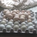 (주)경기사료 이미지