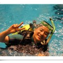 올림픽수영장 이미지