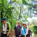 매봉산2 이미지