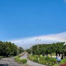 계곡의아침 이미지