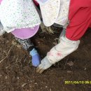 새봄농장 이미지