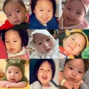 [육아일기/2개월아기] 슬기로운 동반 육아휴직생활 1탄🍼