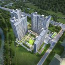 나노벨리 이미지