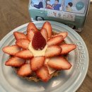 아침해유치원 | 스물이애오 🌸