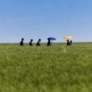 물결속으로 이미지