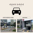 일번피티 이미지