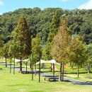 도담공원 화장실 이미지