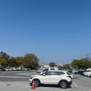 궁남지 서문주차장 | 부여 국화축제 양송이표고버섯축제 후기 궁남지 애견동반 나들이