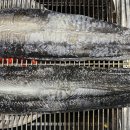 선반내천지연무태장어