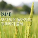 📣8월23일 화요일 간추린 뉴스입니다📣 이미지